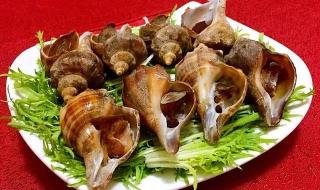 海螺需要煮多长时间 海螺煮多长时间